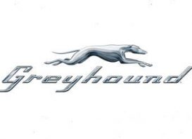 Greyhound survey