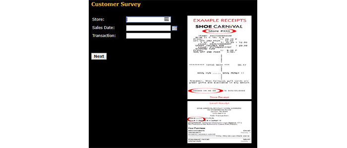 Shoe Carnival Survey